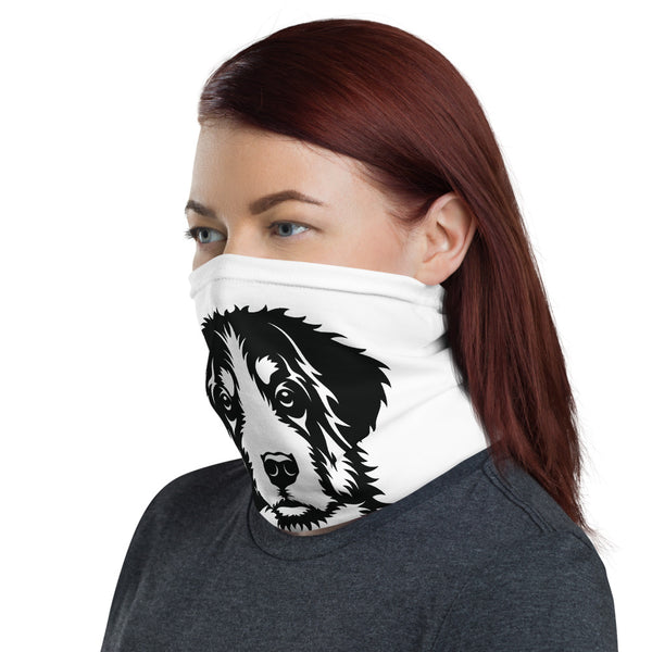 "CQ Original" Bernese Mountain Dog - Neck Gaiter