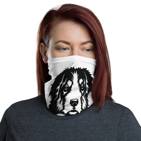 "CQ Original" Bernese Mountain Dog - Neck Gaiter